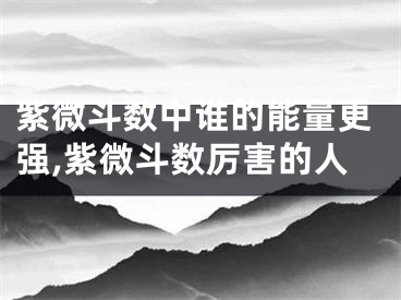 紫微斗数中谁的能量更强,紫微斗数厉害的人