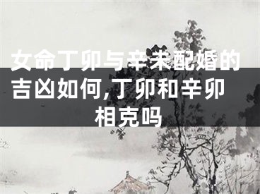 女命丁卯与辛未配婚的吉凶如何,丁卯和辛卯相克吗