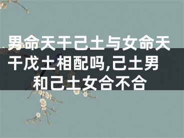 男命天干己土与女命天干戊土相配吗,己土男和己土女合不合