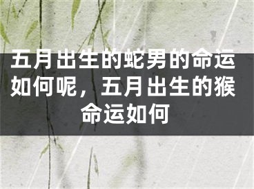 五月出生的蛇男的命运如何呢，五月出生的猴命运如何