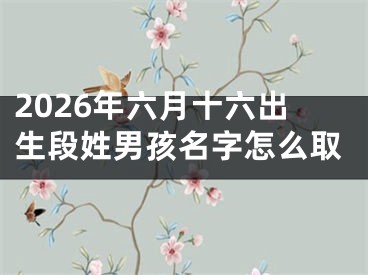 2026年六月十六出生段姓男孩名字怎么取