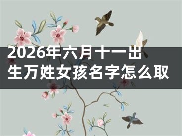 2026年六月十一出生万姓女孩名字怎么取