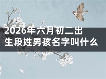 2026年六月初二出生段姓男孩名字叫什么