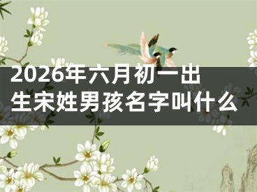 2026年六月初一出生宋姓男孩名字叫什么