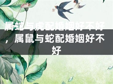 属蛇与虎配婚姻好不好，属鼠与蛇配婚姻好不好