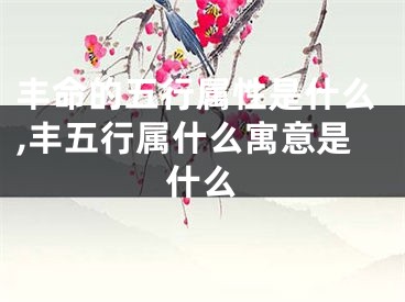 丰命的五行属性是什么,丰五行属什么寓意是什么