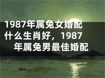 1987年属兔女婚配什么生肖好，1987年属兔男最佳婚配