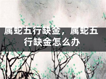 属蛇五行缺金，属蛇五行缺金怎么办
