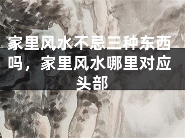 家里风水不忌三种东西吗，家里风水哪里对应头部
