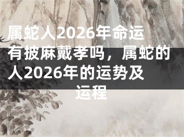 属蛇人2026年命运有披麻戴孝吗，属蛇的人2026年的运势及运程