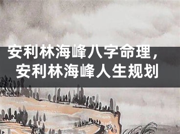安利林海峰八字命理，安利林海峰人生规划