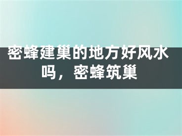 密蜂建巢的地方好风水吗，密蜂筑巢