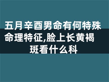 五月辛酉男命有何特殊命理特征,脸上长黄褐斑看什么科