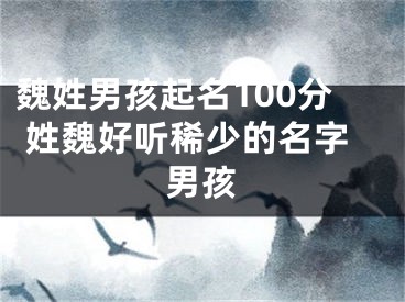 魏姓男孩起名100分 姓魏好听稀少的名字男孩
