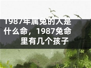 1987年属兔的人是什么命，1987兔命里有几个孩子