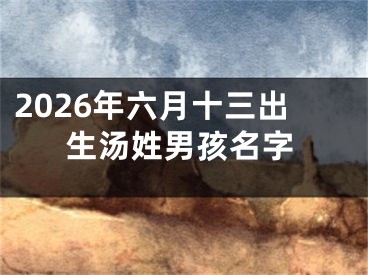 2026年六月十三出生汤姓男孩名字