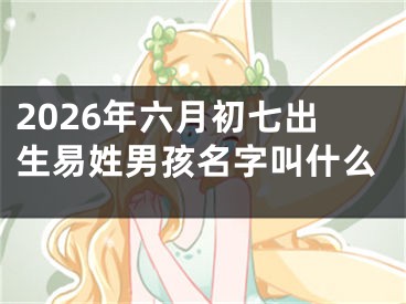 2026年六月初七出生易姓男孩名字叫什么