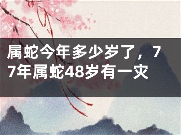 属蛇今年多少岁了,77年属蛇48岁有一灾