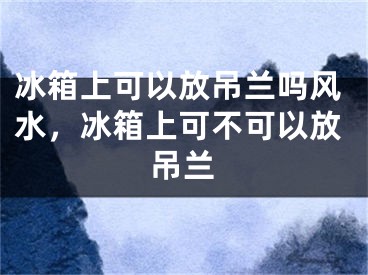 冰箱上可以放吊兰吗风水，冰箱上可不可以放吊兰