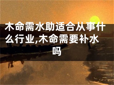 木命需水助适合从事什么行业,木命需要补水吗