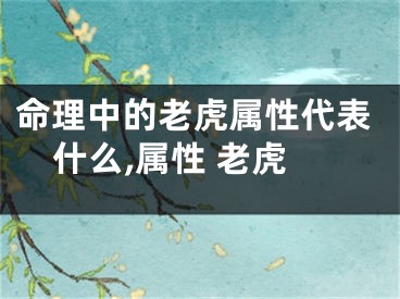 命理中的老虎属性代表什么,属性 老虎