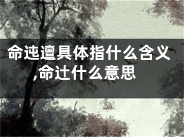 命迍邅具体指什么含义,命辻什么意思