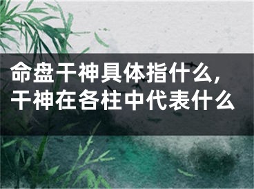 命盘干神具体指什么,干神在各柱中代表什么