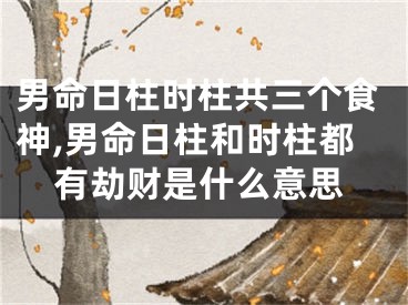 男命日柱时柱共三个食神,男命日柱和时柱都有劫财是什么意思