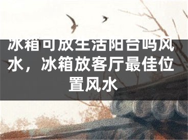 冰箱可放生活阳台吗风水，冰箱放客厅最佳位置风水