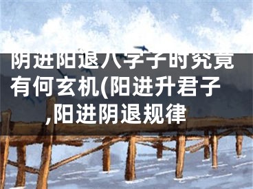 阴进阳退八字子时究竟有何玄机(阳进升君子,阳进阴退规律