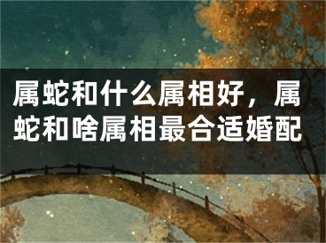 属蛇和什么属相好，属蛇和啥属相最合适婚配