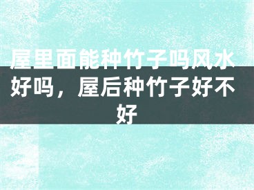 屋里面能种竹子吗风水好吗，屋后种竹子好不好