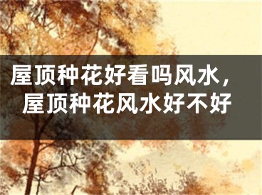 屋顶种花好看吗风水，屋顶种花风水好不好