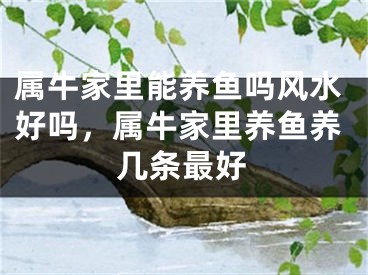 属牛家里能养鱼吗风水好吗，属牛家里养鱼养几条最好