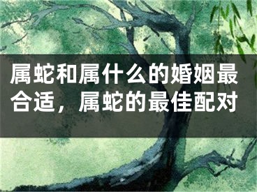 属蛇和属什么的婚姻最合适，属蛇的最佳配对