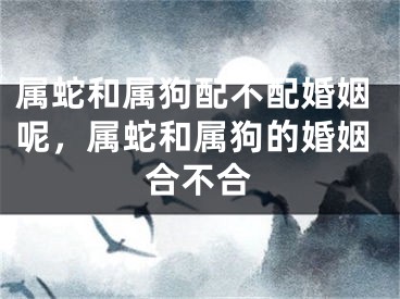 属蛇和属狗配不配婚姻呢，属蛇和属狗的婚姻合不合