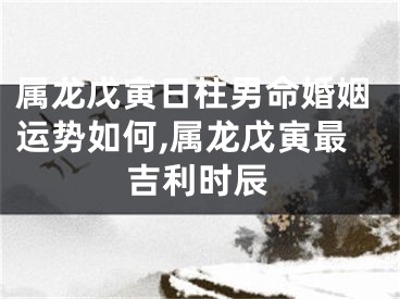 属龙戊寅日柱男命婚姻运势如何,属龙戊寅最吉利时辰