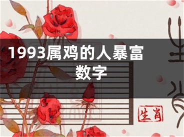 1993属鸡的人暴富数字