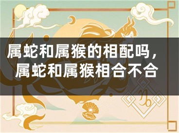 属蛇和属猴的相配吗，属蛇和属猴相合不合
