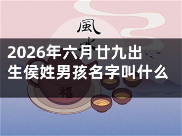 2026年六月廿九出生侯姓男孩名字叫什么
