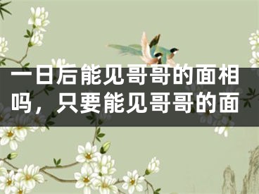 一日后能见哥哥的面相吗，只要能见哥哥的面