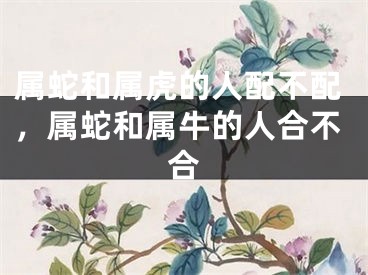 属蛇和属虎的人配不配，属蛇和属牛的人合不合
