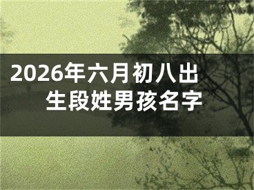 2026年六月初八出生段姓男孩名字