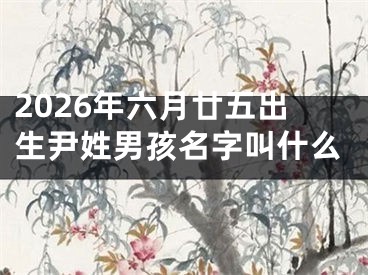 2026年六月廿五出生尹姓男孩名字叫什么