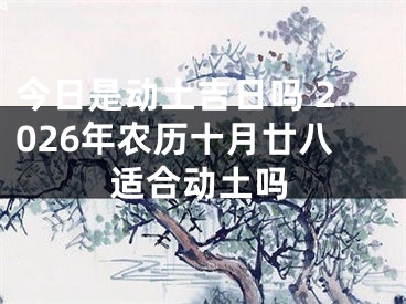 今日是动土吉日吗 2026年农历十月廿八适合动土吗