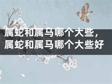 属蛇和属马哪个大些，属蛇和属马哪个大些好