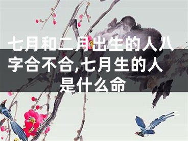 七月和二月出生的人八字合不合,七月生的人是什么命