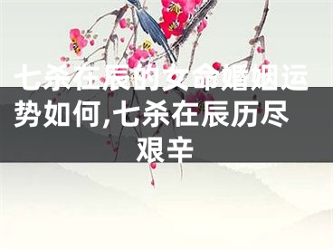 七杀在辰的女命婚姻运势如何,七杀在辰历尽艰辛