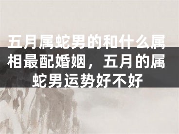 五月属蛇男的和什么属相最配婚姻，五月的属蛇男运势好不好