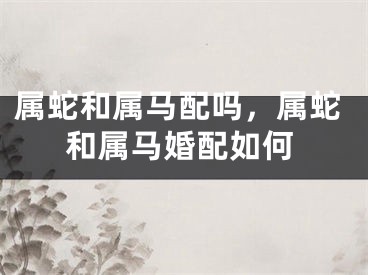属蛇和属马配吗，属蛇和属马婚配如何